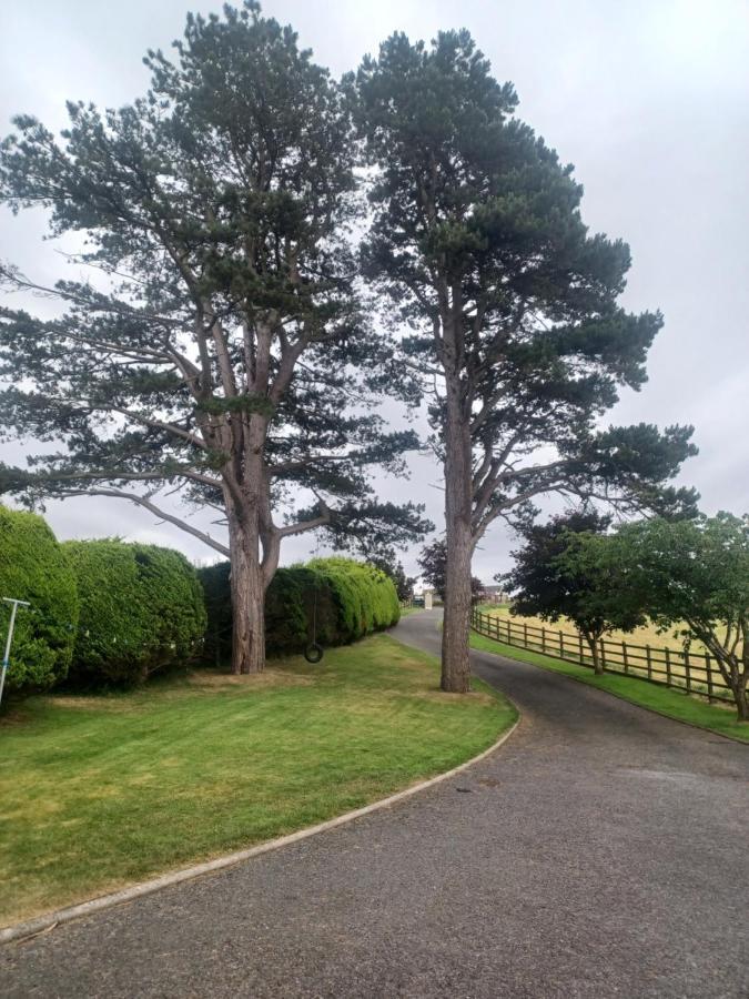 Loughview Retreat In The Mournes Newcastle (Down) Exterior foto